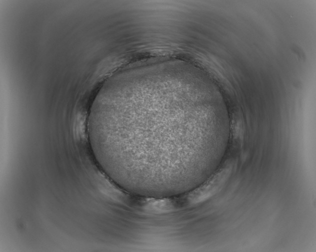 X0000112760185200909031555