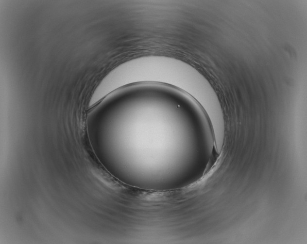 X0000112760186200909031555