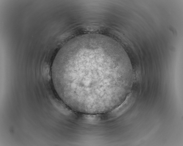 X0000112760187200909031555