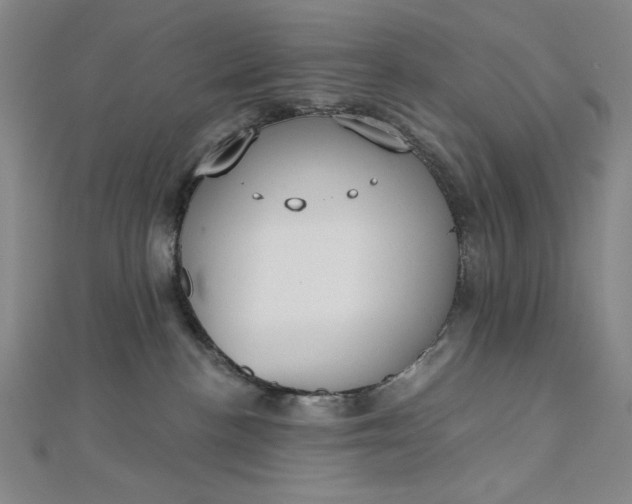 X0000112760188200909031555