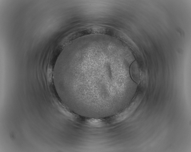 X0000112760189200909031555