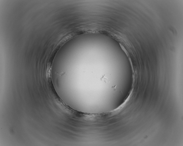 X0000112760190200909031555