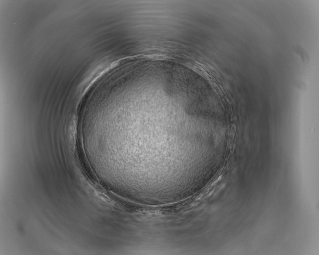 X0000112760194200909031554