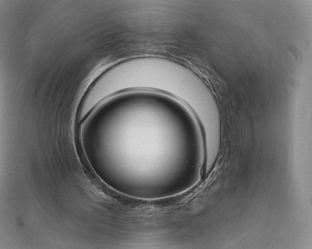 X0000112760195200909031554