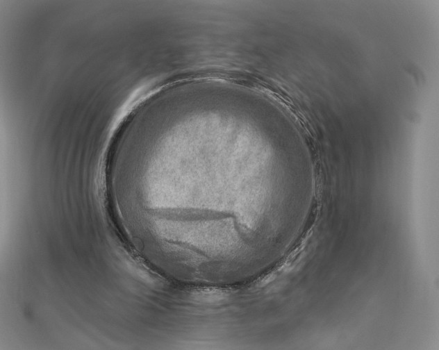 X0000112760198200909031554