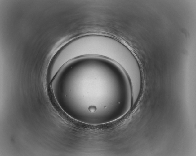 X0000112760199200909031554