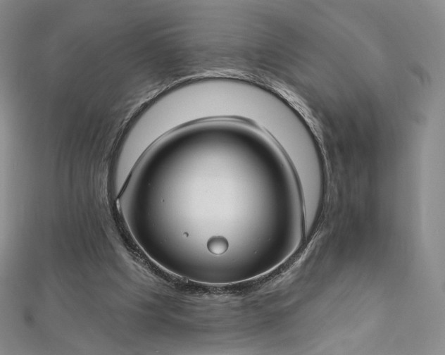 X0000112760201200909031554