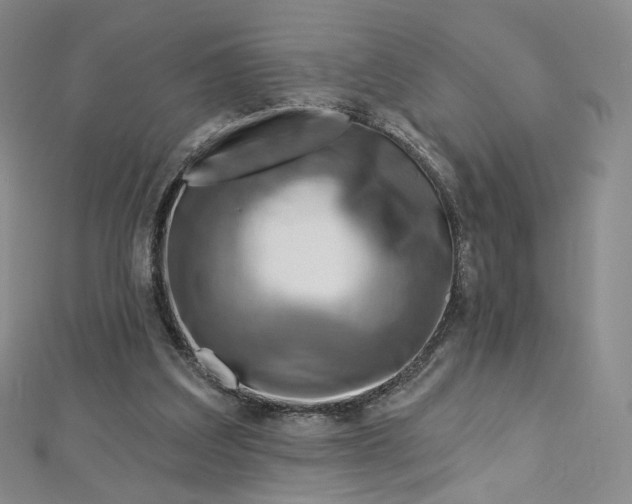 X0000112760203200909031554