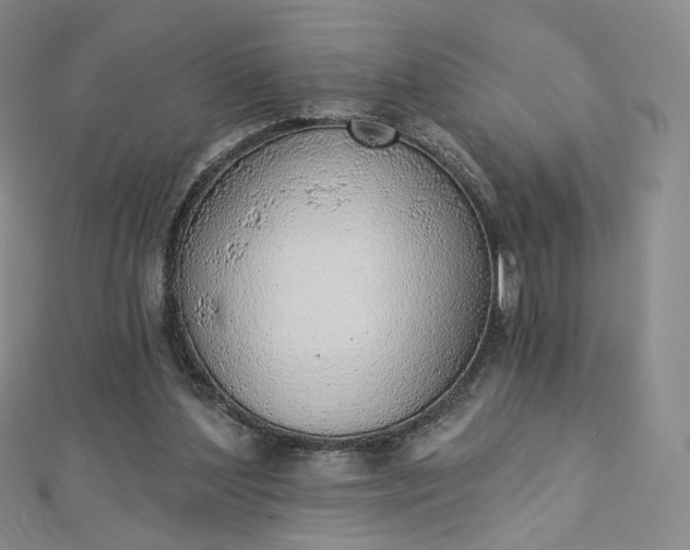 X0000112760204200909031554