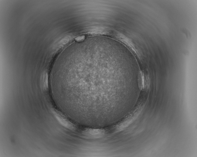 X0000112760205200909031554