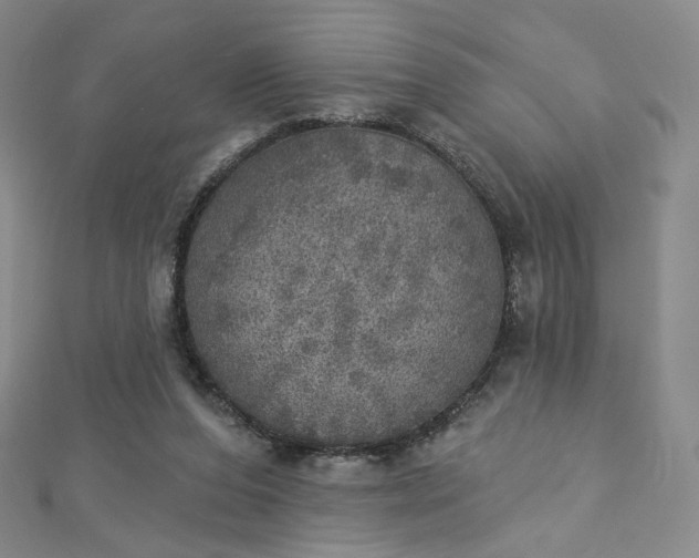 X0000112760208200909031554