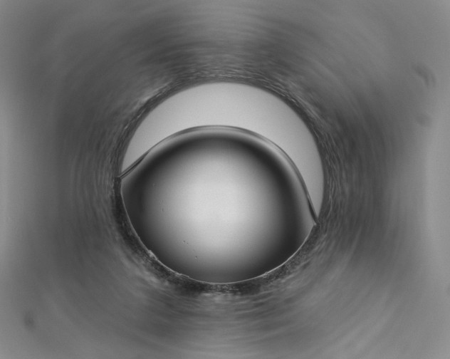 X0000112760211200909031554