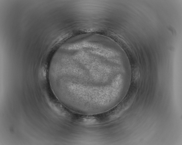 X0000112760214200909031554