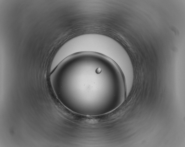 X0000112760217200909031554
