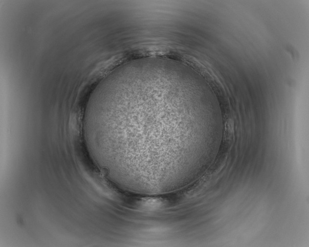 X0000112760218200909031554