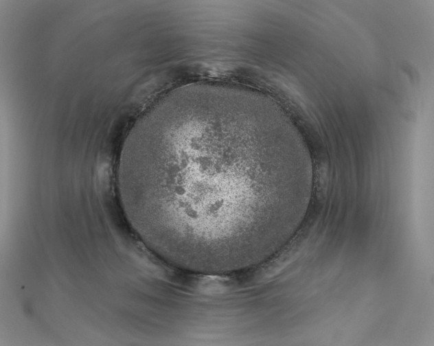 X0000112760222200909031554