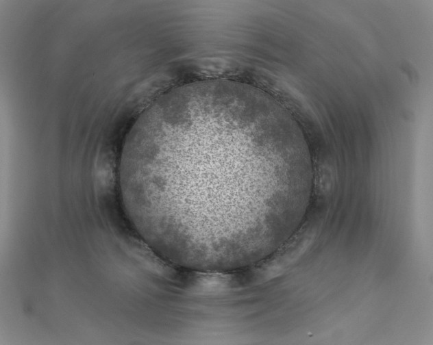 X0000112760226200909031554