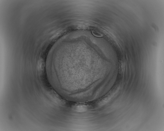 X0000112760228200909031554