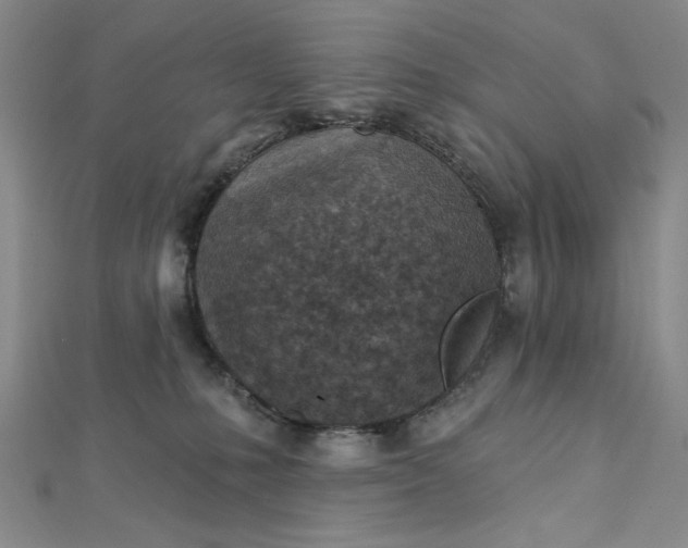 X0000112760231200909031554