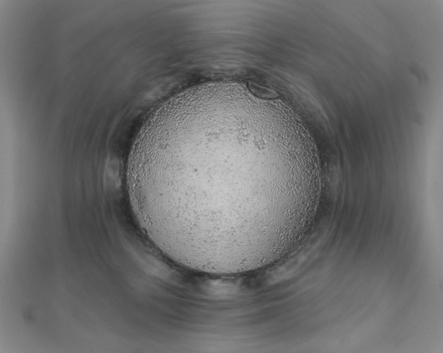 X0000112760232200909031554