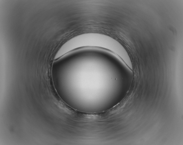 X0000112760233200909031554