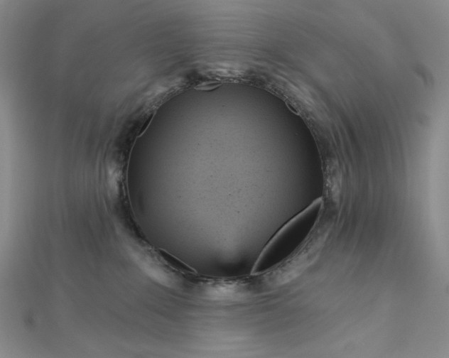 X0000112760235200909031554