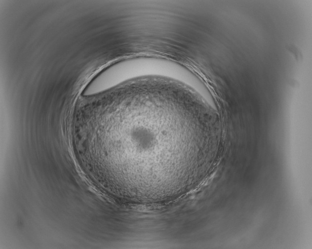 X0000112760241200909031553