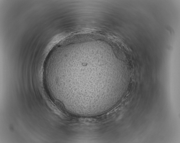 X0000112760242200909031553