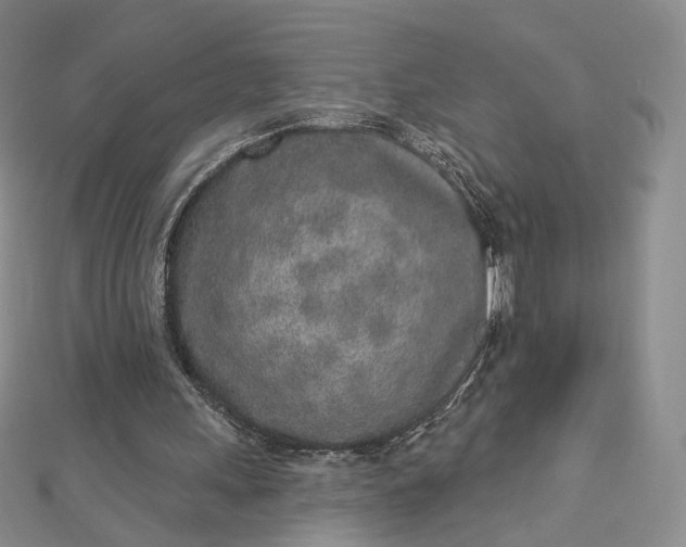 X0000112760243200909031553