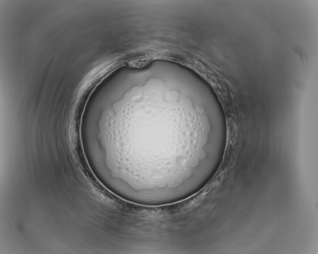 X0000112760245200909031553