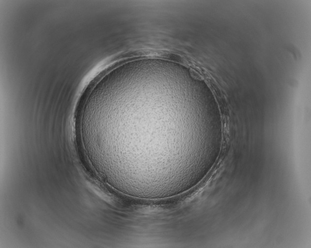 X0000112760246200909031553