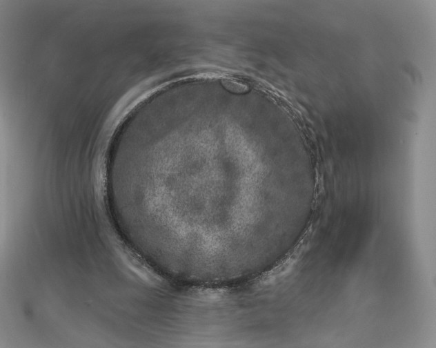 X0000112760247200909031553