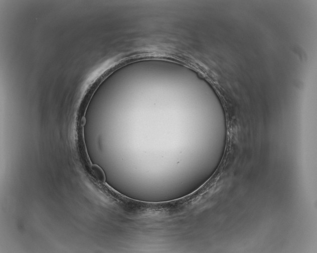 X0000112760248200909031553
