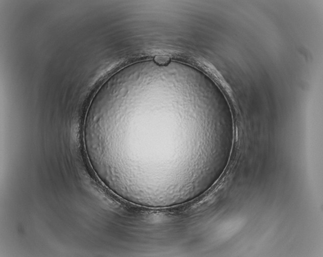 X0000112760249200909031553