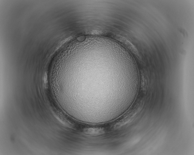 X0000112760251200909031553