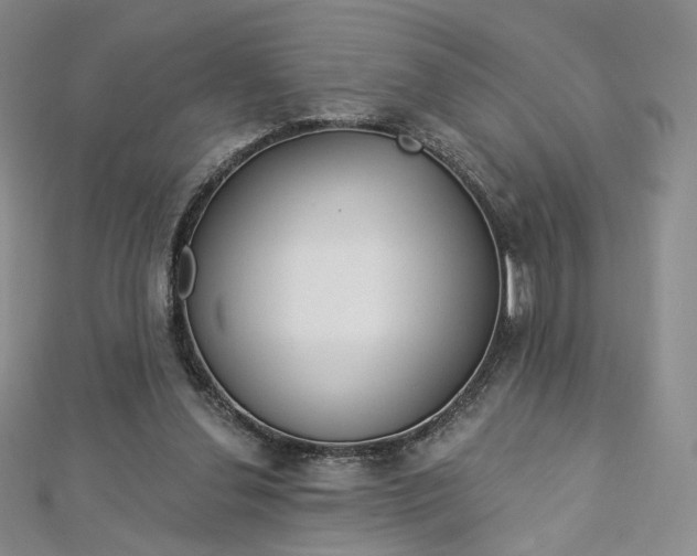 X0000112760252200909031553