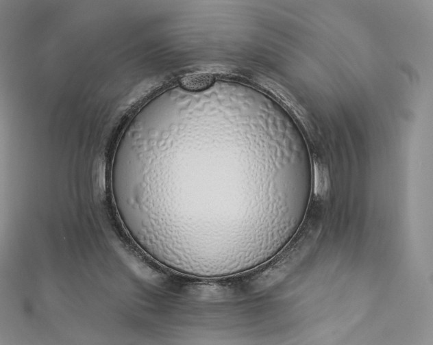 X0000112760253200909031553