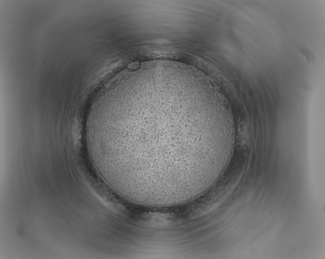 X0000112760255200909031553