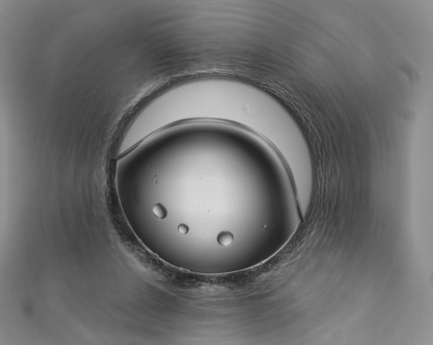 X0000112760256200909031553