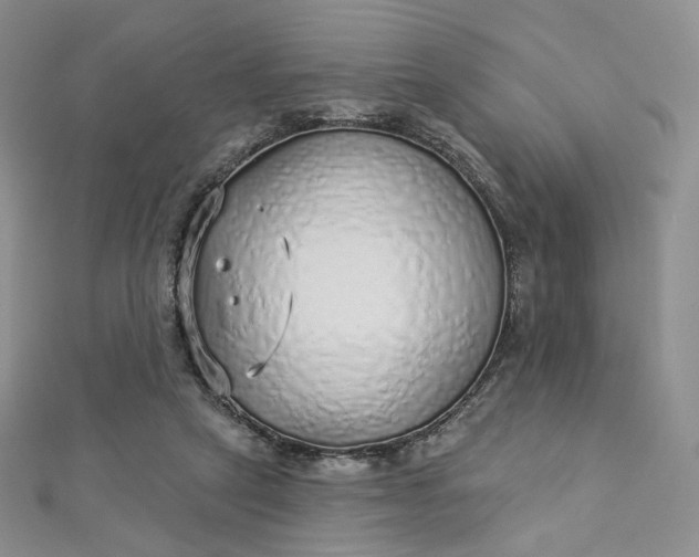 X0000112760257200909031553