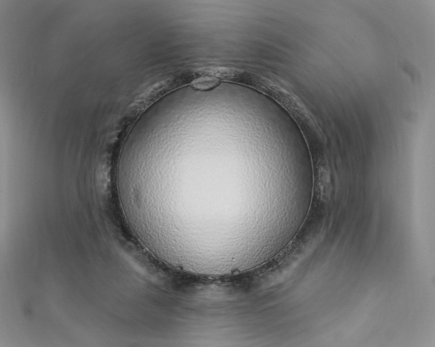 X0000112760259200909031553