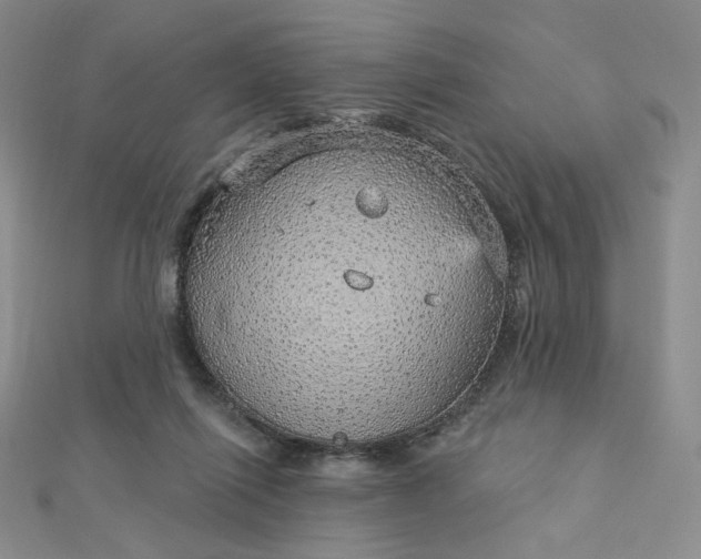 X0000112760262200909031553