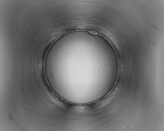 X0000112760265200909031553