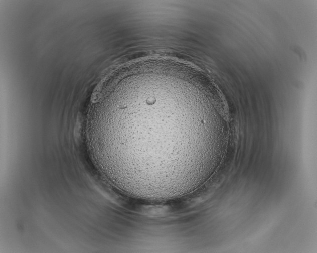 X0000112760266200909031553