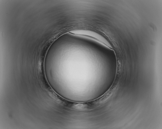 X0000112760269200909031553