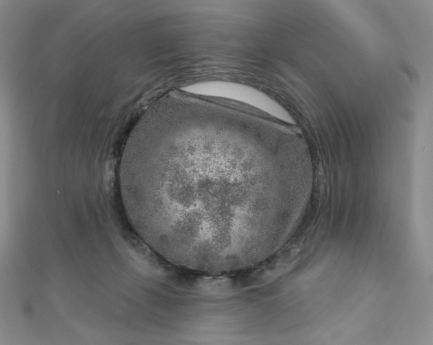 X0000112760271200909031553