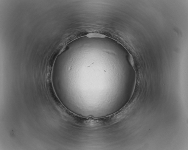 X0000112760273200909031554