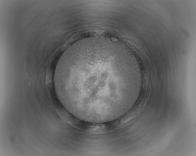 X0000112760274200909031554