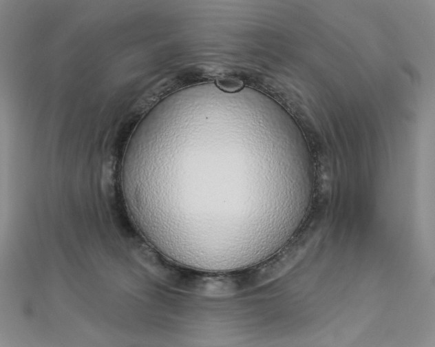 X0000112760275200909031554