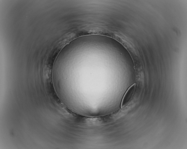 X0000112760281200909031554